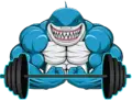 Muscle Shark Fitness